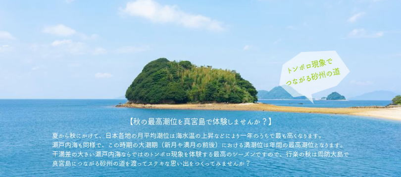 真宮島
